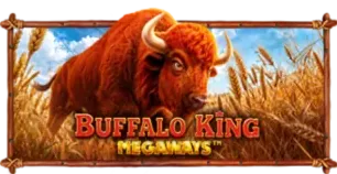 ภาพเกม Buffalo King Megaways ที่ jub789 รวบรวมไว้